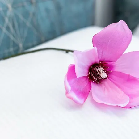 Walonska With Free Parking By Renters *